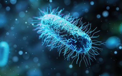 MORF reveals new biology in a foodborne pathogen