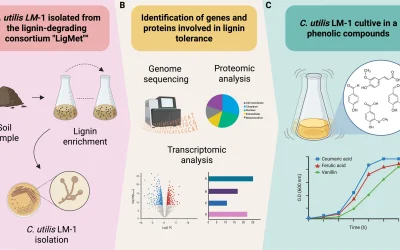 Interactive insight: visualising the physiological shifts of industrial yeast